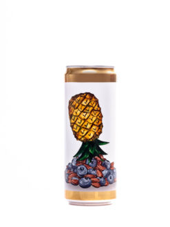 Brewski Craftbeer Online Kaufen Blupee  Fruited Sour (Ananas, Blaubeeren, Brombeeren, Mandel , Vanille ) - Alehub