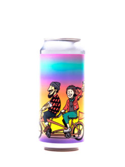 Superfreunde Tandem Thills  Dry Hopped Pilsner - Alehub