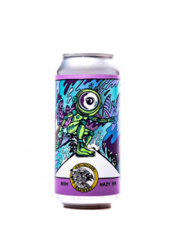 Bish  Hazy IPA - Alehub