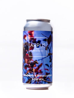 Ärpus Blueberry X Blackcurrant Sour Ale - Alehub