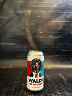 Lieber Waldi Waldi for President - Hazy Pale Ale im Shop kaufen